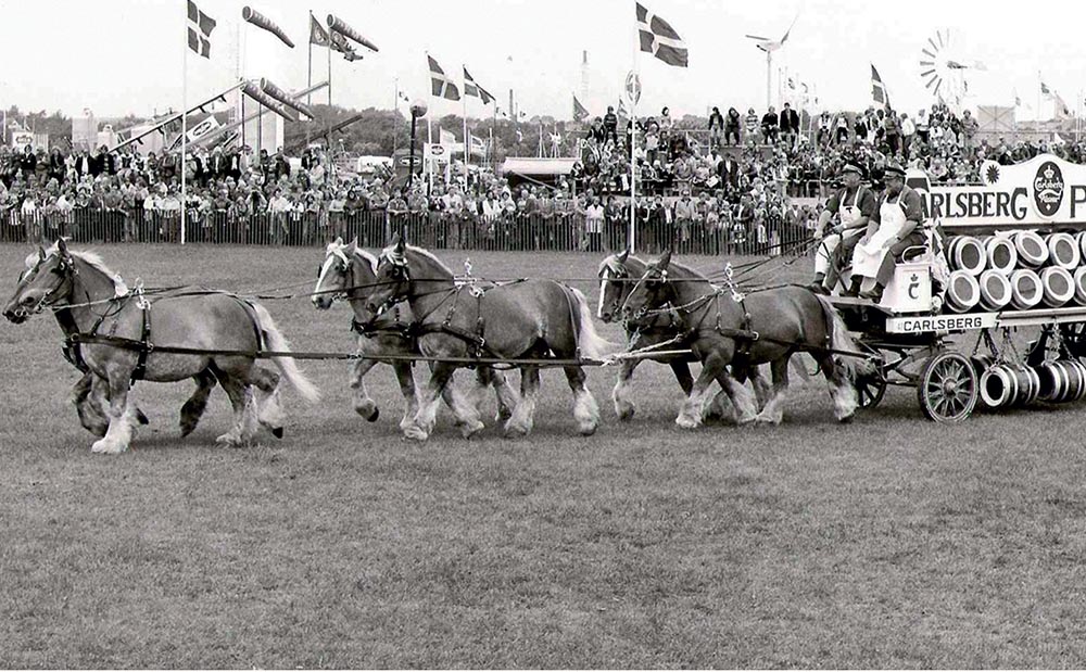 Carlsberg Horses